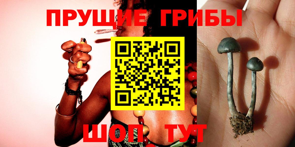 Кимры  Псилоцибиновые грибы мицелий  Галлюциногенные грибы ЛСД  Вход с VPN 