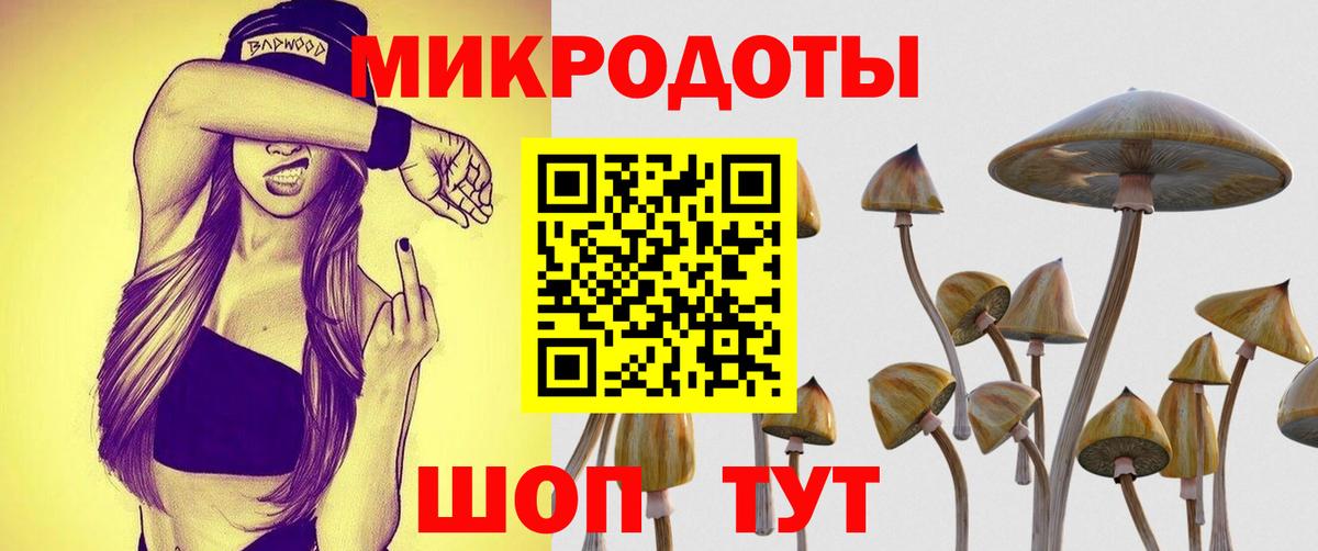 Галлюциногенные грибы Cubensis Кимры